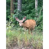 zIMG-20241012-WA0005