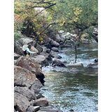 zIMG-20241012-WA0011